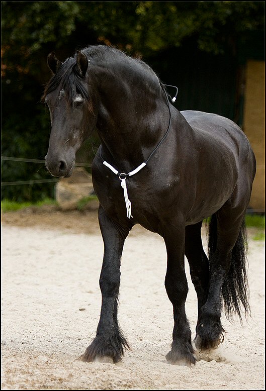 2 - Wessel 29 augustus