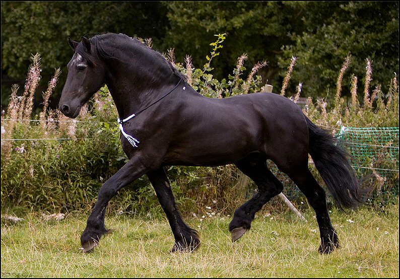 30 - Wessel 29 augustus