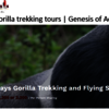 Uganda gorilla trekking tou... - Genesisofadventure