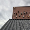 Vogelhuizen erbij 28-08-25 4 - Garden 2023 & 2024 & 2025