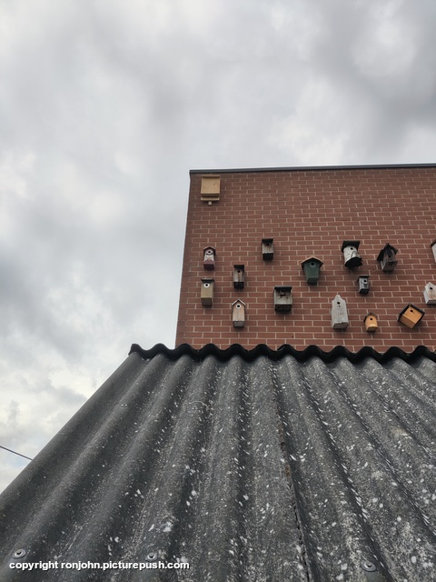Vogelhuizen erbij 28-08-25 4 Garden 2023 & 2024 & 2025