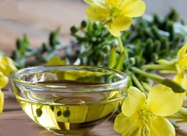 Evening primrose oil CAS90028-66-3 CoreyChem