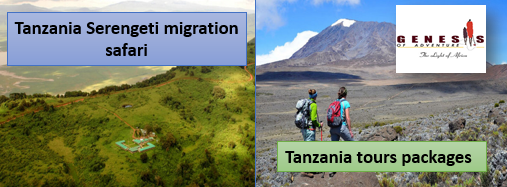 Tanzania Serengeti Migration Safari & Tour Package Genesisofadventure
