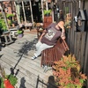Ron in de zon 01-09-25 - Garden 2023 & 2024 & 2025