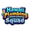 Hawaii Plumbing & Drain Cle... - Hawaii Plumbing & Drain Cle...