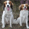 Wie heeft de langst tong - Picture Box