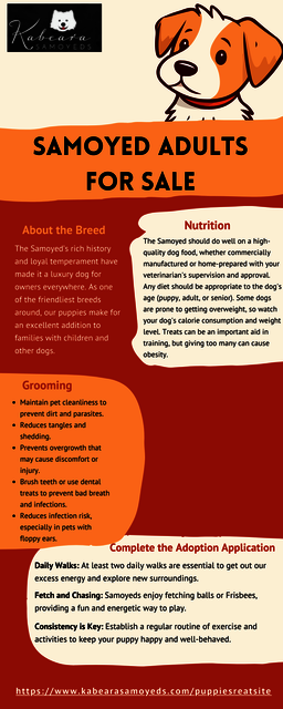 Yellow, Red and Orange Illustrated Dog Adoption In Order Samoyed adults safely