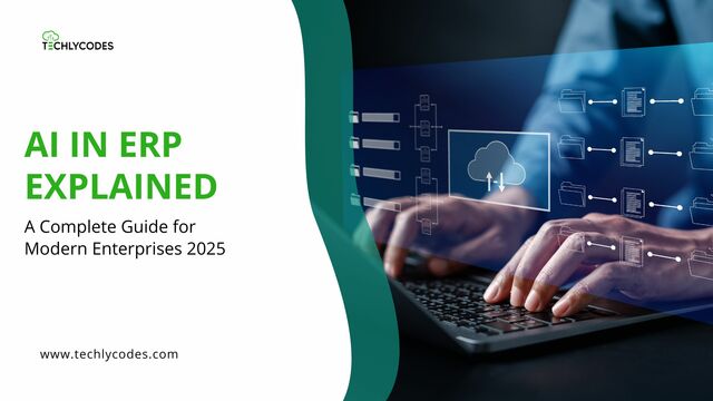 NetSuite Support and Maintenance TechlyCodes