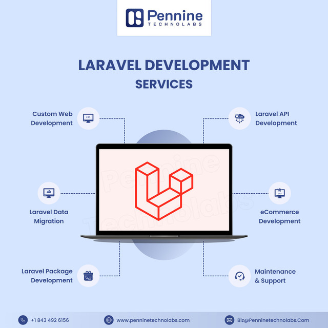 Laravel Development Services In India Picture Box