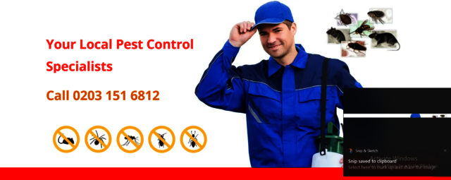 PEST  24/7 Vermin Control London Services | Pest Control 24 London