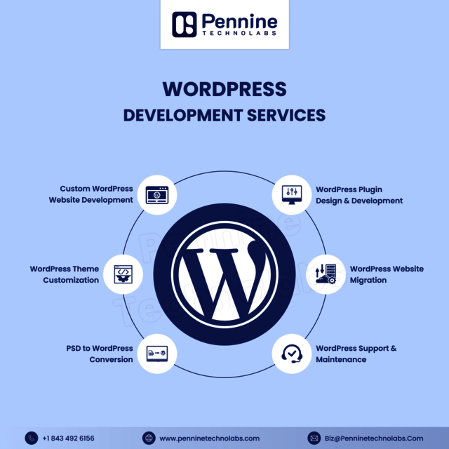 WordPress Development Services In India Picture Box