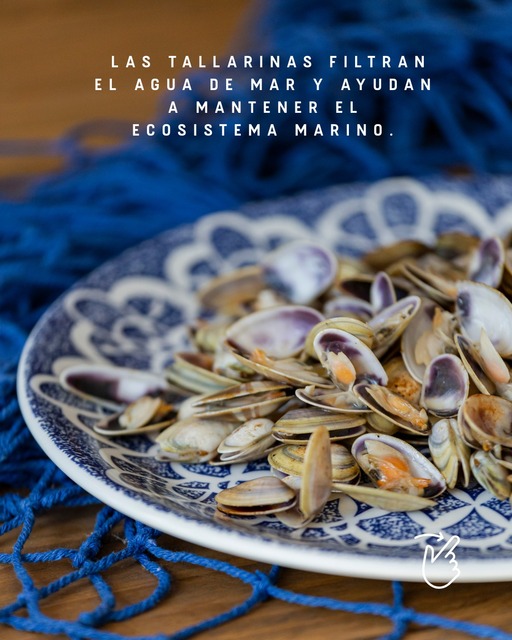 joya escondida de mariscos | puertecillo Picture Box