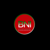 BNI Seasonal Lighting - BNI Seasonal Lighting