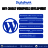 Best WordPress Development Company in Lucknow