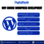 Best WordPress Development ... - Best WordPress Development Company in Lucknow