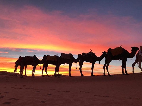 desert-camp Sun Trails | Private Luxury Tours in Morocco | Sahara Desert | Honeymoon Travel | All-Inclusive Vacation Packages
