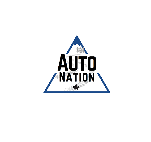Auto Nation Inc Auto Nation Inc
