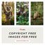 Copyright Free Images For Free - Copyright Free Images for Free