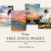 Free Stock Images
