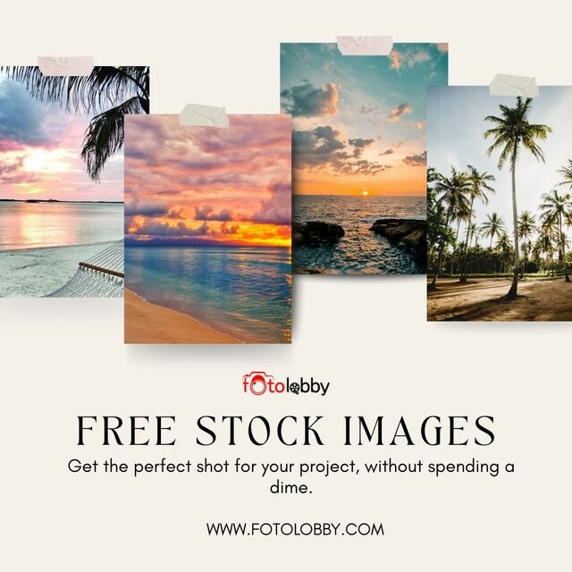 Free Stock Images Free Stock Images