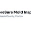 SporeSure Mold Inspections - SporeSure Mold Inspections