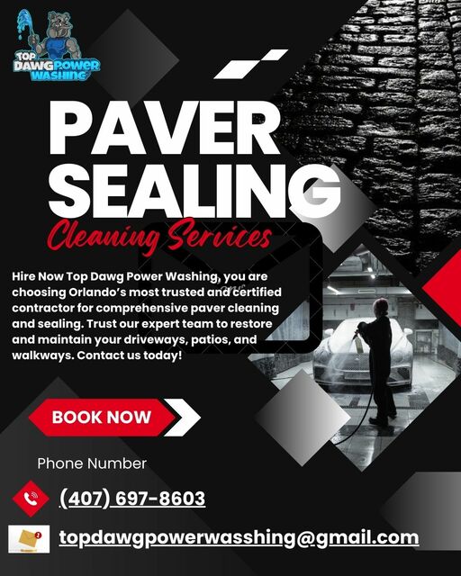 Red Black and White Modern Car Wash Instagram Post Top Dawg Power Washing