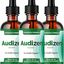 Audizen Drops6 - Audizen Drops