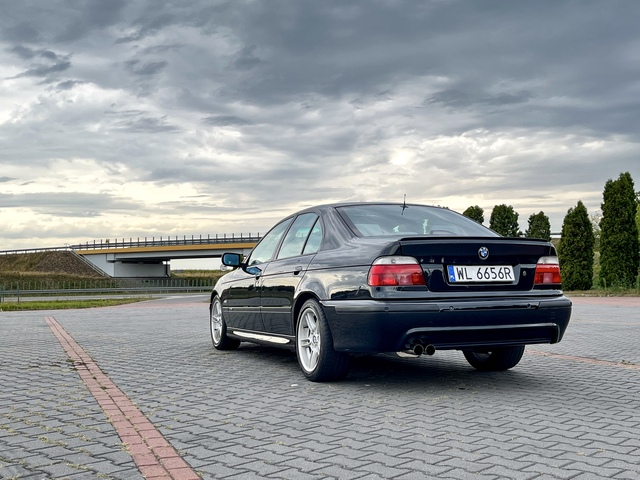 F55182ED-83CB-4936-A617-DF2C0A1F8C9B Smoczyca