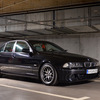 B9B6D616-71DA-4C35-999E-9DB... - Smoczyca