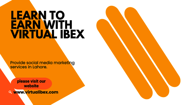 virtual ibex Picture Box