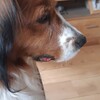 556022621 1220818163407260 ... - appelbergen