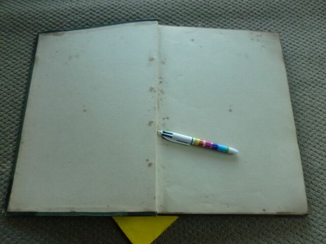 P1570520 p Townshend