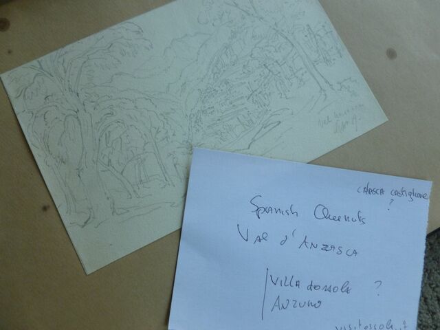 P1570523 p Townshend