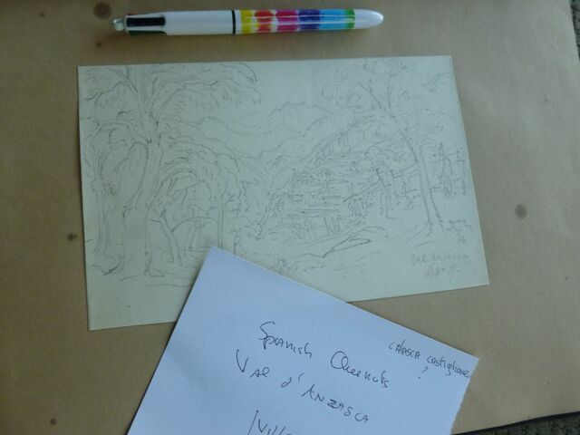 P1570524 p Townshend