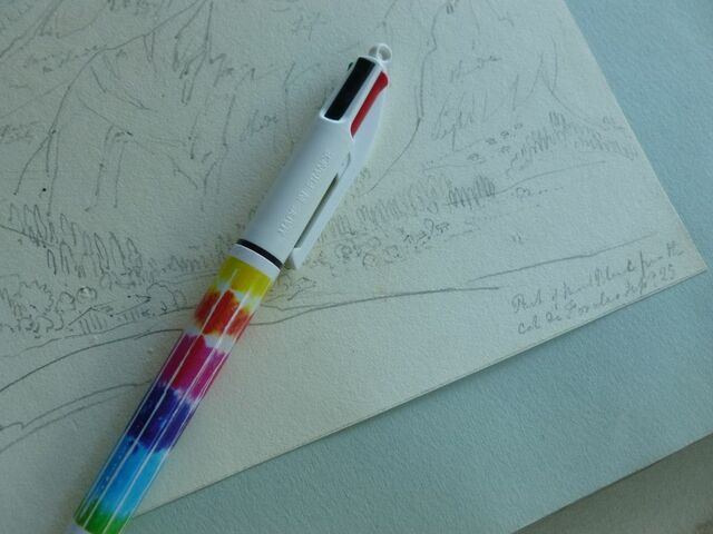 P1570529 p Townshend