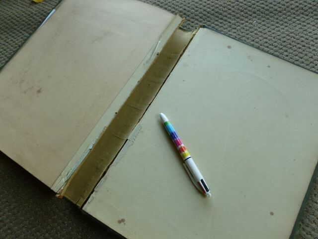 P1570544 p Townshend