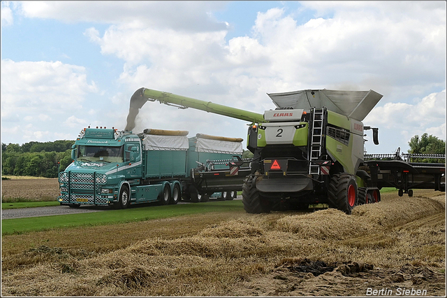 DSC 2391-border 2025-08-10 DK