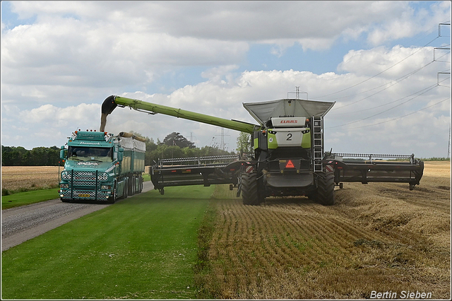 DSC 2400-border 2025-08-10 DK