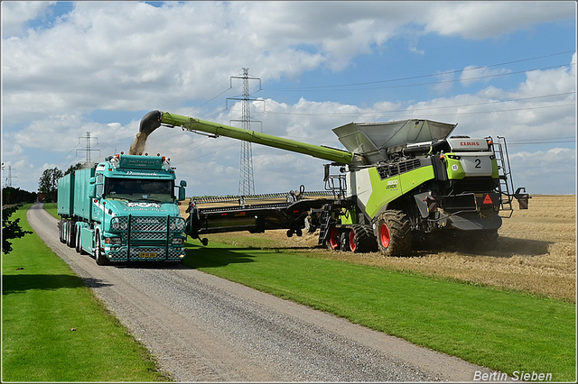 DSC 2404-border 2025-08-10 DK