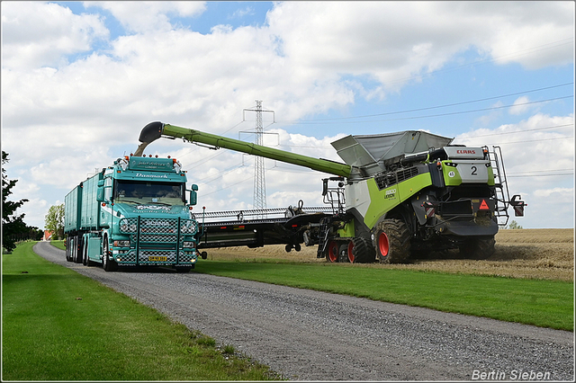 DSC 2411-border 2025-08-10 DK