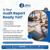 audit report ready yet - irhatax