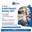 audit report ready yet - irhatax