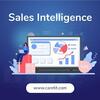 Data-Driven Sales Intelligence - Picture Box