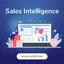 Data-Driven Sales Intelligence - Picture Box