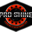 logo - Pro Shine Concrete Restoration