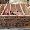 k-Transport- und Oldtimerfe... - Transport- und Oldtimerfest...