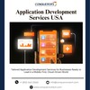 Application Development Ser... - Picture Box