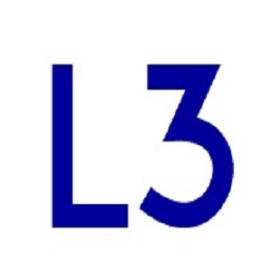 Lewis Lawrence Leight Picture Box