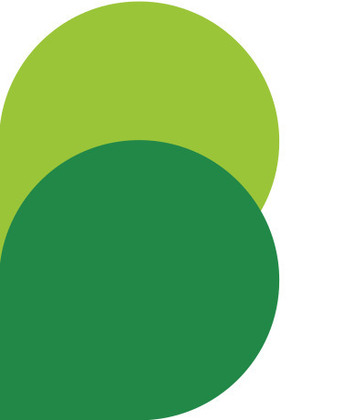 Biz2credit-logo (1) - Anonymous