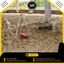 Dirt Removal Service Is Coq... - Professional Dirt Removal, Excavation & Hauling Services in Vancouver